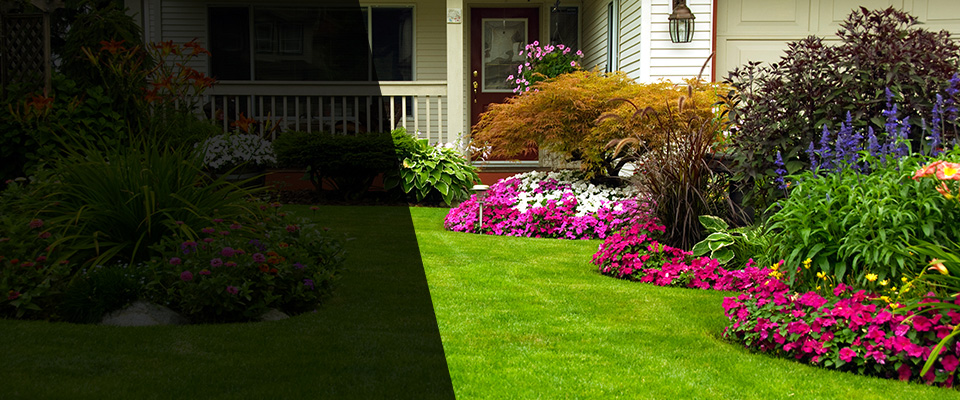 Galena Park Landscapers