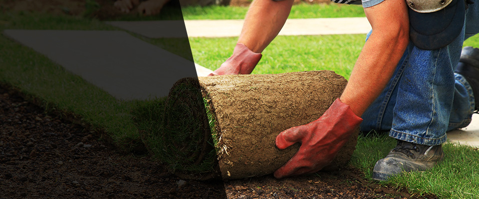 Galena Park Landscapers